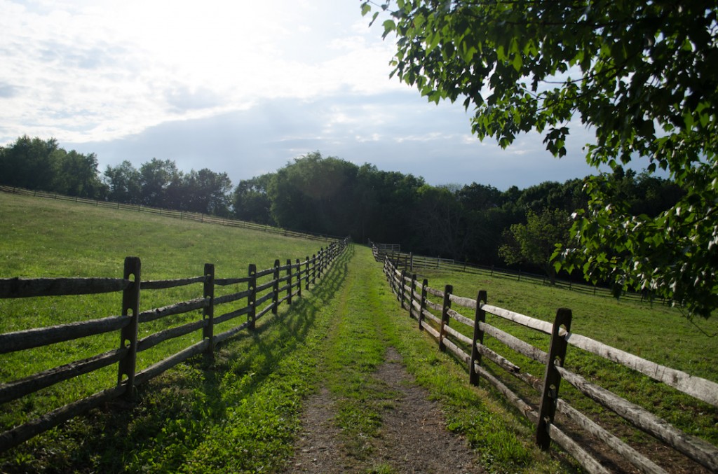 Boarding - BarGee Farms